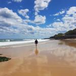 Arena Luxury Beachfront Apartment - Tourism Brisbane 0