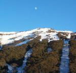 Thredbo 31