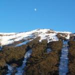 Thredbo 31 - Brisbane Tourism 0