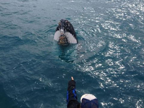 Number 72 Kalbarri Beach Resort - Tourism Brisbane 0