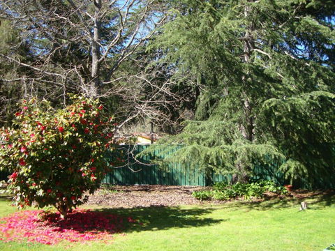 Ageri Holiday House - Tourism Brisbane 3