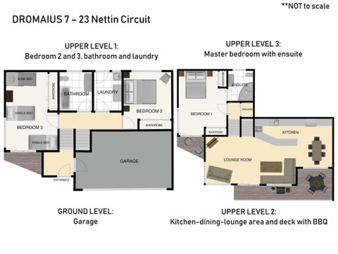 Dromaius 7 / 23 Nettin Circuit - Brisbane Tourism 4