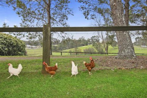 TINY HOME......BIG Views - Tourism Brisbane 6