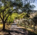 Capers Guesthouse Barn  Cottage - Tourism Brisbane