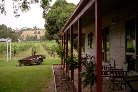 Fergusson Winery Homestead Accomodation - Tourism Brisbane 2