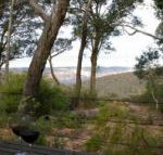 Canyon Cottage - Tourism Brisbane