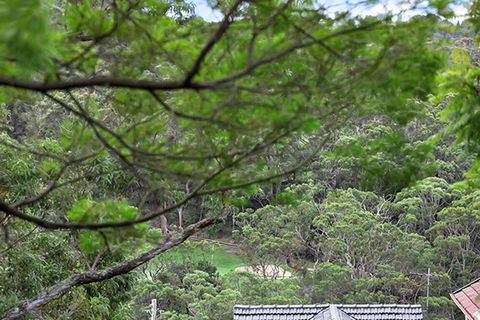 ALAN1 Leafy Tranquil Home - Tourism Brisbane 3