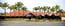 Nuriootpa Vine Inn Hotel Motel Ltd - Tourism Brisbane 0