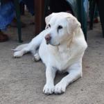 Nazaaray Beach House - Tourism Brisbane 0