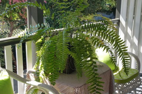 Elindale House Bed & Breakfast - Tourism Brisbane 4
