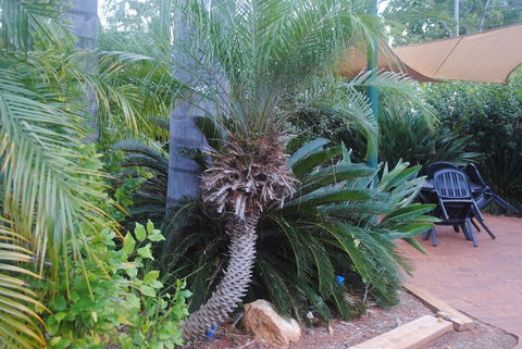 Kingaroy Holiday Park - Brisbane Tourism 1
