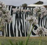 Zebras Guest House - Tourism Brisbane