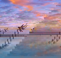 Global Backpackers Cairns - Brisbane Tourism