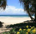 Ozone Shores - Tourism Brisbane