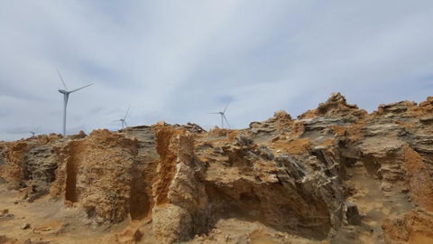 Georgia - Brisbane Tourism 4