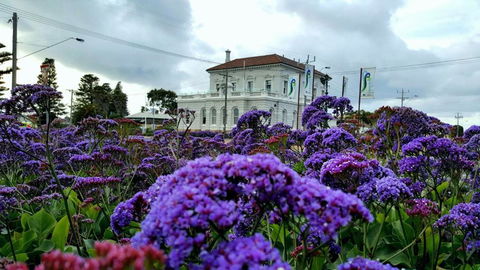 Georgia - Brisbane Tourism 3