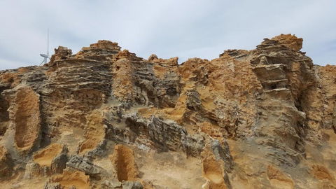 Georgia - Brisbane Tourism 5