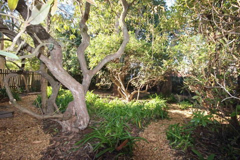Stonewall Cottage For Two With Fireplace - Brisbane Tourism 2