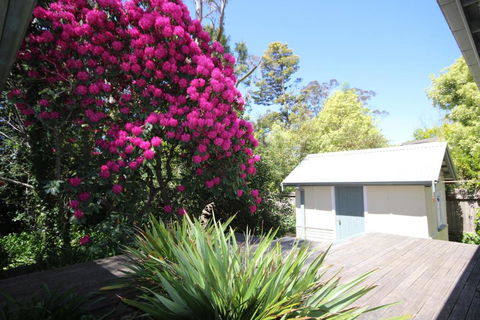 Stonewall Cottage For Two With Fireplace - Brisbane Tourism 5
