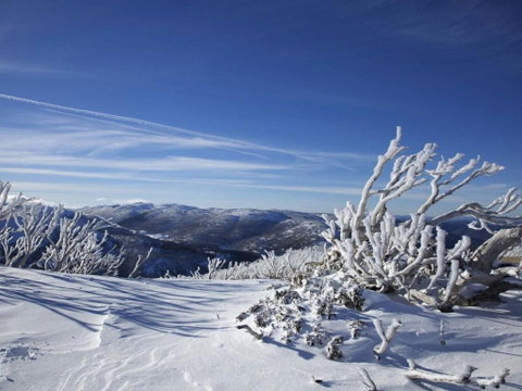 Snowy Saga 1 Jindabyne - Brisbane Tourism 3