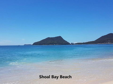 Unit 301 The Shoal 6 8 Bullecourt Street Air Con Walking To Local Shops & Beach - Tourism Brisbane 2