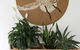 Buderim Rainforest Retreat Perfect For Family Getaways - thumb 4