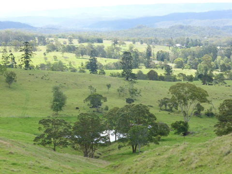 Anduramba Homestead B & B - Brisbane Tourism 4