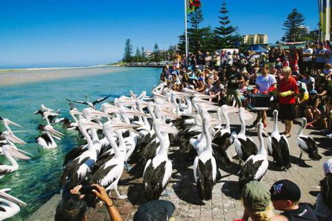 Beach & Ocean Front Penthouse With Wifi & Parking - Tourism Brisbane 2