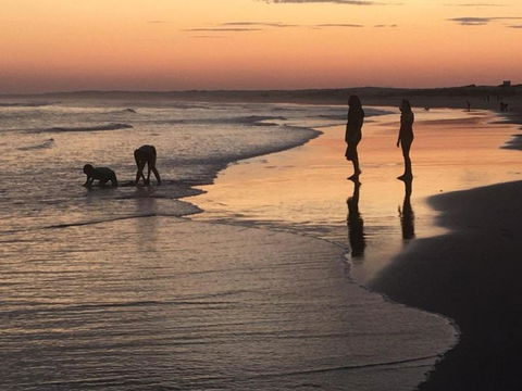 Cromarty Cottage 900m From Birubi Beach - Tourism Brisbane 6