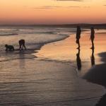 Cromarty Cottage 900m From Birubi Beach - Tourism Brisbane 0