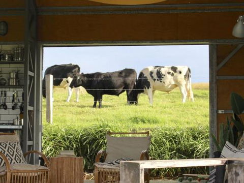THE SHED Gerroa 4pm Checkout On Sundays & Public Holidays - Tourism Brisbane 6