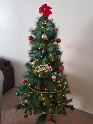 Sunshine Beach Retreat 3 Bedroom Family Apartment Wifi Netflix 2 Cars - Tourism Brisbane 3