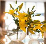 KUI Manhattan Apartments - Brisbane Tourism