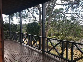 The Mook - Tourism Brisbane 1