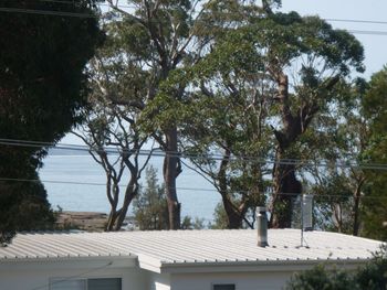 Bawley Break - Brisbane Tourism 4
