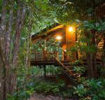 Wildwood - Tourism Brisbane