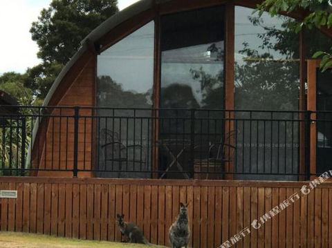 Bruny Island Accommodation 43 Degrees Beachside Studio Spa Apartments (1) - Tourism Brisbane 1