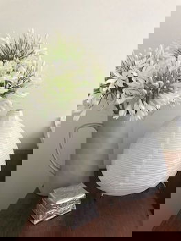 Beautiful Cottage, Ocean Views, Amazing Gardens, 12 Minute Walk To Beach - Tourism Brisbane 0