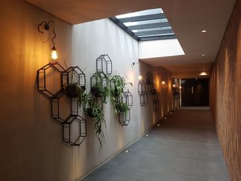 Richmond Lifestyle Apartment - Brisbane Tourism 2