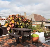 Clovelly Beach Cottage H372 - Brisbane Tourism