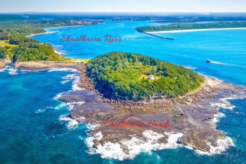 Dolphins Delight At Culburra Beach - Brisbane Tourism 4
