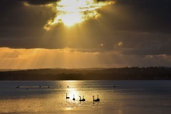 Diamond Lake House - Brisbane Tourism 4