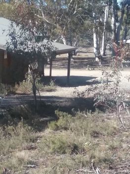 Gooandra Alpine Cabins - Tourism Brisbane 1