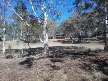 Gooandra Alpine Cabins - Tourism Brisbane 6