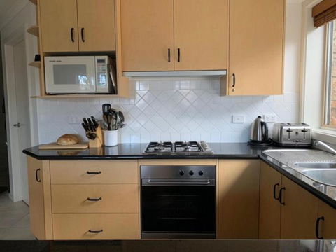 Reindeer 6 - Tourism Brisbane 4