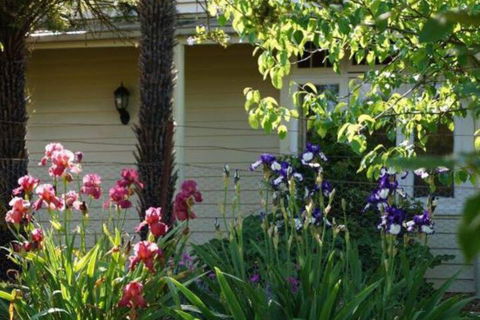 Eagles View Cottage Yarra Valley - Tourism Brisbane 1