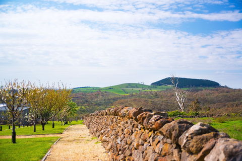 Breakneck Gorge Akora - Tourism Brisbane 6