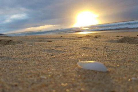 Eagles Loft - Brisbane Tourism 6