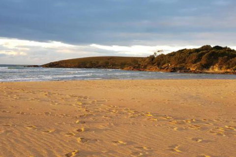 Eagles Loft - Brisbane Tourism 5