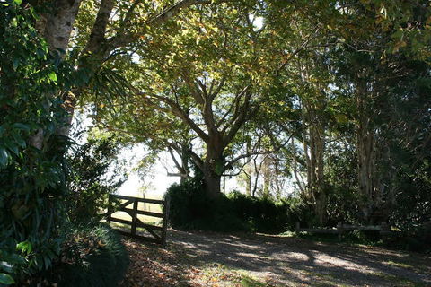 Maleny Mountain Retreat - Tourism Brisbane 0